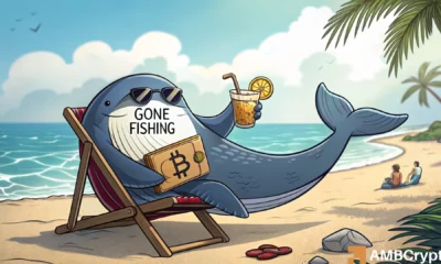 Bitcoin’s retail takeover – Here’s why BTC whales are backing off!