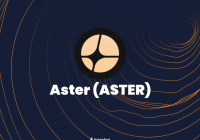 浪尖 Aster：热度爆表，价值几何，值得入场吗？