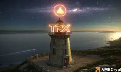 TRON defends $0.3 as altcoins crash – THESE metrics prove TRX’s strength