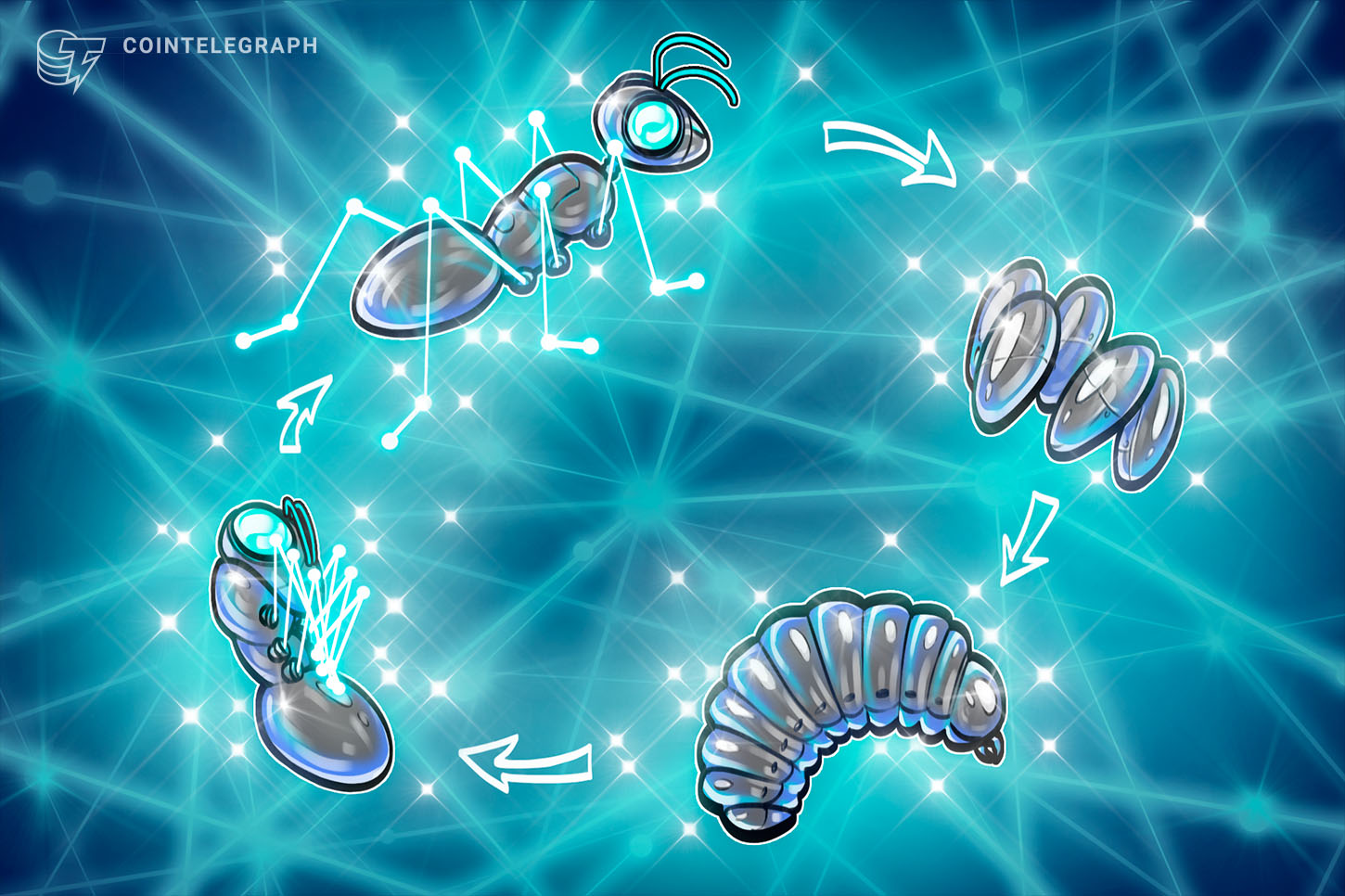 ‘Very likely’ Bitcoin cycle will continue in some form: Gemini exec