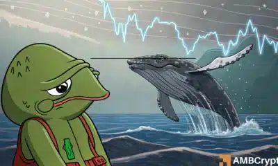 PEPE plunges 21% amid whale frenzy – Watch THIS support next