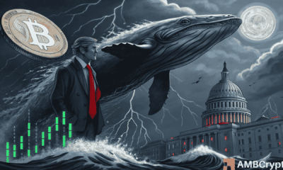 Is this whale betting on another Bitcoin crash?