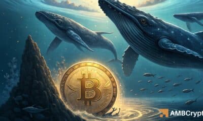 Bitcoin whales stack 60K BTC in a week! – $135K in sight IF…