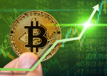 Bitcoin Is The Standard Now: Outperform It, Or Get Left Behind – CEO
