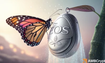 EOS token plunges 10% amid sell-offs – Why THIS support is key!