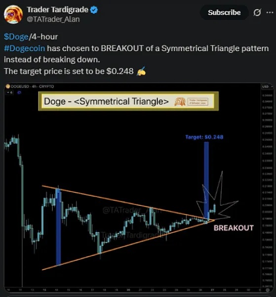 大利好 DOGE收购意大利足球队、现实应用获重大突破