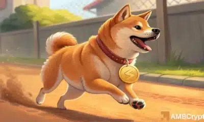 Memecoin meltdown hits Shiba Inu! THIS range can decide SHIB’s comeback