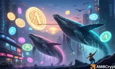 AAVE falls 11% – Will $202 hold amid $35.5M whale dump?