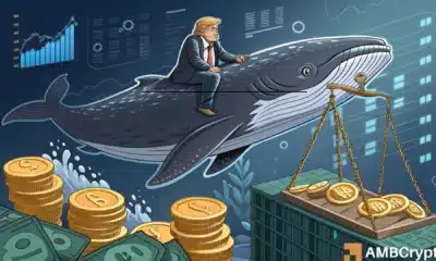 WLFI whale panic sparks liquidity drain: Can bulls hold on to $0.20?