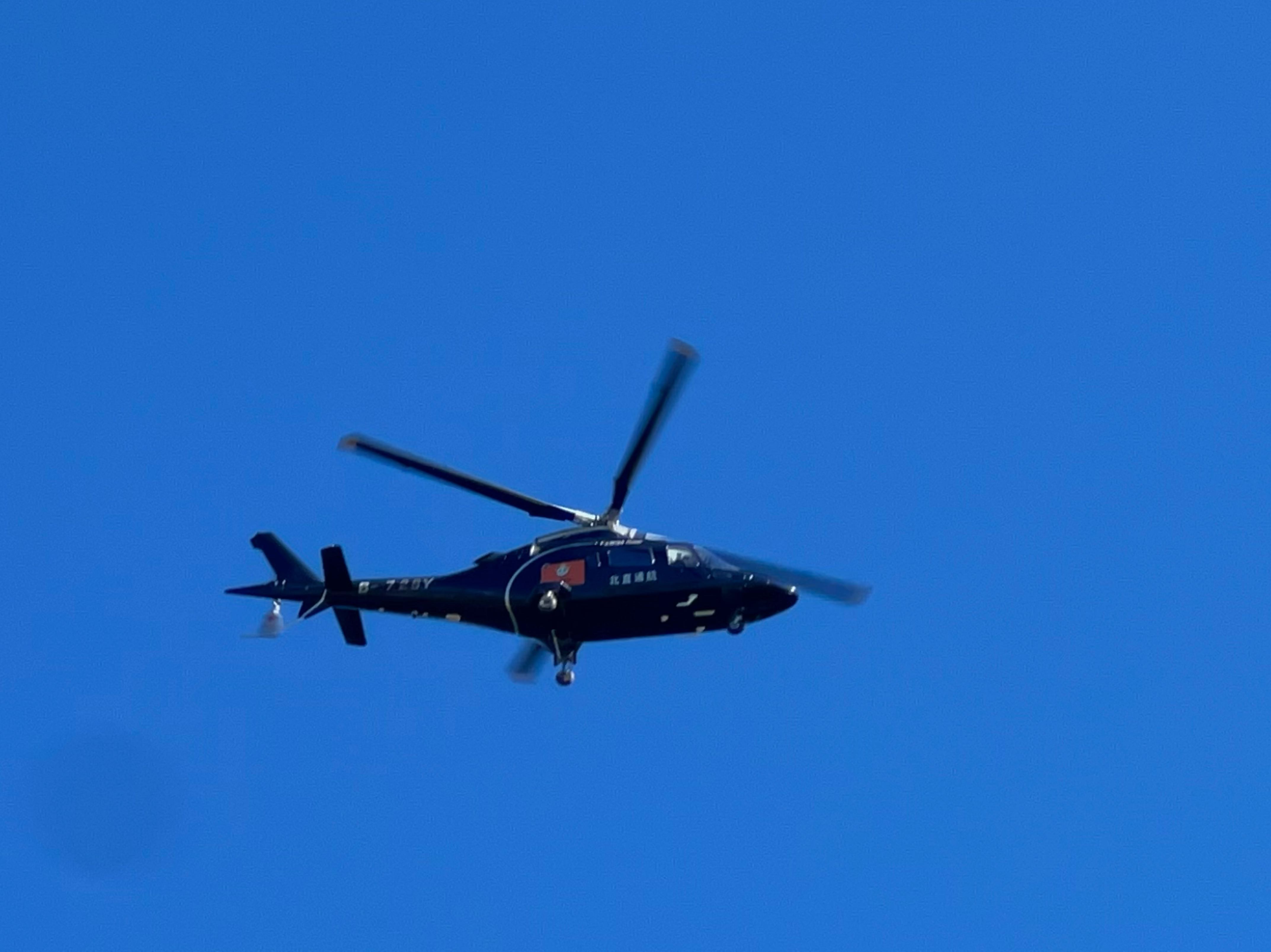 Picture of the author