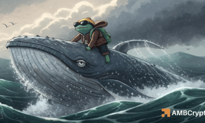 281B PEPE transfer fuels buzz –  Mapping KEY levels to watch next - ambcrypto