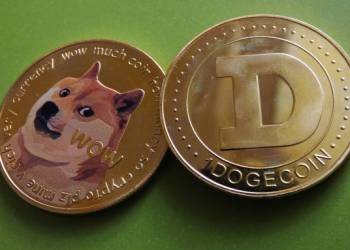 Dogecoin Users Can Now Pay For Flights With DOGE On This Airline