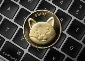 Why The Shiba Inu Consolidation Could End Rapidly With An Explosive Price Rally