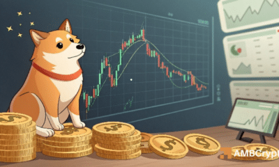 Dogecoin crashes 55% – But THIS points to a DOGE reversal