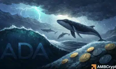 Will ADA’s price return to form after Cardano whales ‘buy the dip?’