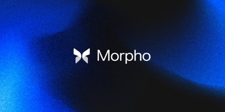 Morpho 吸金 120 亿之谜:这些大户到底在玩什么?