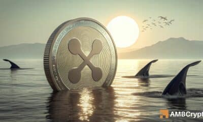 Is XRP’s price bottom in sight – Here’s what on-chain data says