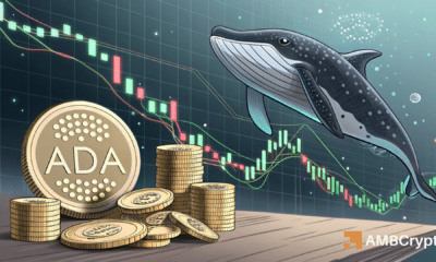 Cardano – Can 70M ADA whale buy lift prices past $0.90?