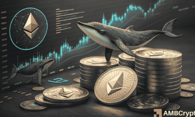 Ethereum whales add $135M in new inflows: Are whales loading up ETH?