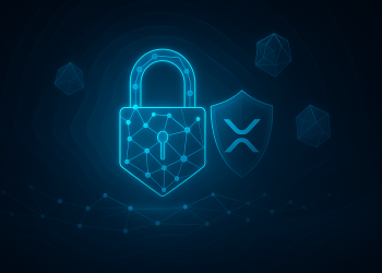 Ripple Maps XRP Ledger’s Future: ‘No Privacy, No Adoption’
