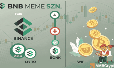 ‘BNB meme szn is real’ as traders rake in profits – Will the rally last? - ambcrypto