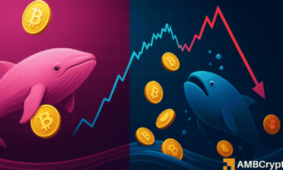Bitcoin new whales lose $1 billion as BTC trades below $110.8K cost basis