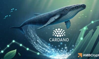 Cardano: What rising whale outflows mean for ADA’s next leg up