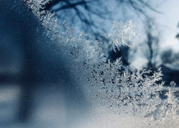Panic At Stream Finance — $93 Million Loss Forces Platform Freeze