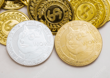 Will A Shiba Inu ETF Follow After Dogecoin? The Lone SHIB Filing Standing Against The Crowd