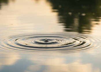 Ripple Turns To Big Business, Buys Palisade To Spark Global Crypto Use