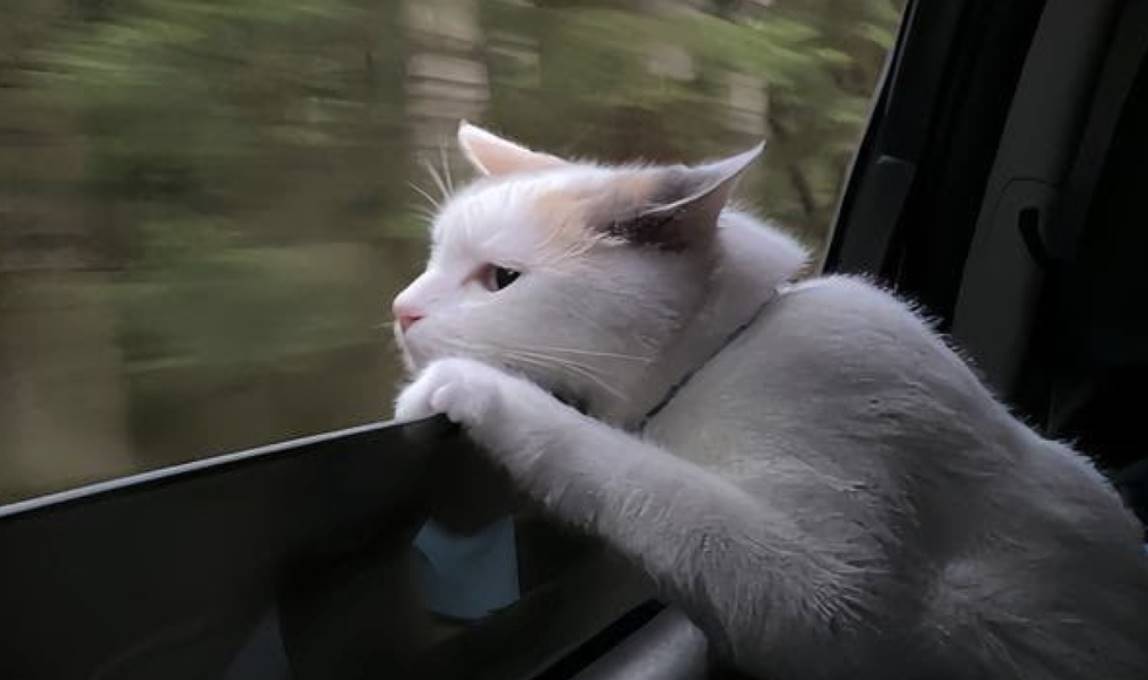 全球大暴跌，究竟发生了什么？