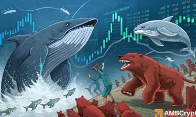 Why is IP’s price up today? New partnership, whale demand & more…