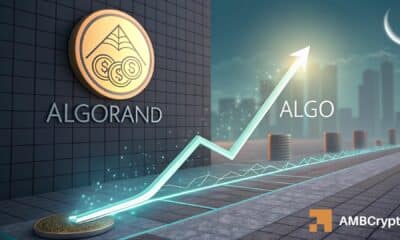 Algorand flashes dual buy signals: ALGO bulls eye $0.20 rebound - ambcrypto