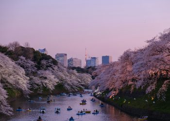 Japan Eyes Stricter Oversight On Crypto Management Companies