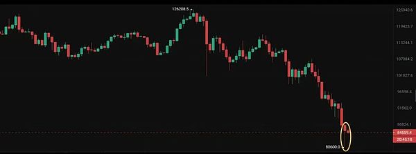 绝望中诞生日线金针 BTC 8万美金成转机 AVAX获巨资回购 DankDoge一日翻倍