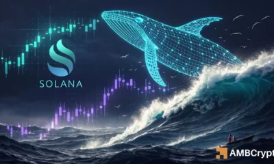 Solana faces heavy selling as whales flip bearish – What’s next?