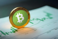 Bitcoin Cash Leads Gains as Crypto Investors Eye Market Rebound