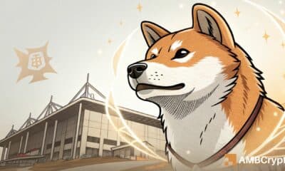 Shiba Inu: Assessing if a supply shock could spark SHIB’s rebound