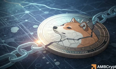 Whale alert! Shiba Inu’s biggest holders are dumping their supply