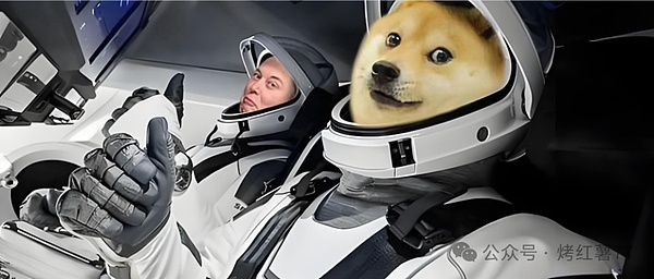 从一句话暴涨 30% 到无人问津,马斯克的 DOGE 魔法 失灵了?