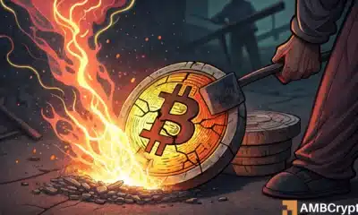 Why Bitcoin LTHs hold steady while new BTC whales face $1B in losses