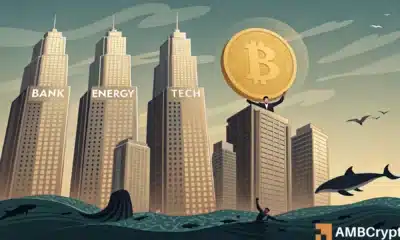 Big money won’t stop buying Bitcoin! Corporate treasuries now own 1 mln BTC