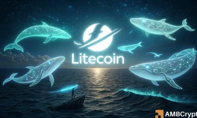 Litecoin’s price reclaims $100 after on-chain volume hits record highs – Details!