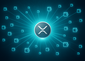 21,595 New XRP Wallets Created In 48 Hours: Highest In 8 Months