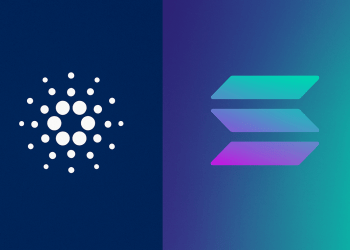 Cardano Attack Sparks Clash: Hoskinson Invokes Feds, Solana Chief Objects