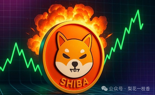 拿稳你的SHIB3200万枚代币刚刚焚毁暴涨前夜已经到来