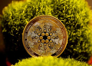 Time For A Cardano Reset? Crypto Pundit Claims Its DeFi Must Undergo Full Structural Overhaul