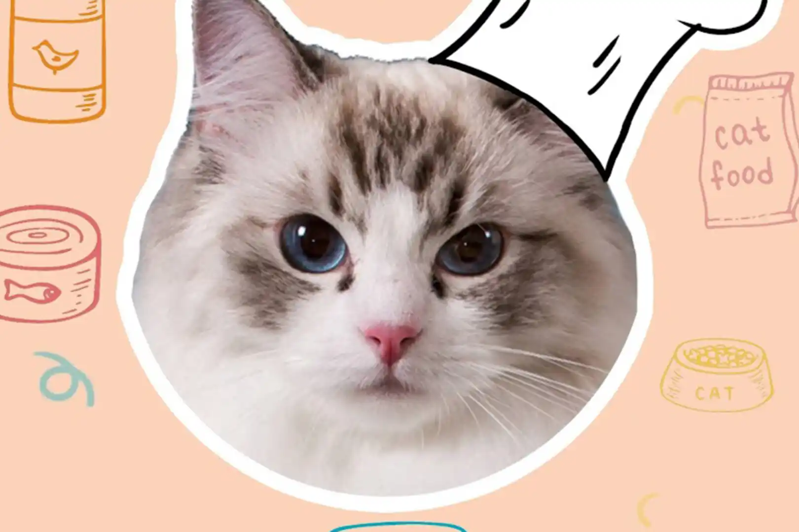 From Banger to Trash: A Sharp Critique of a Web3 Creator's 2025