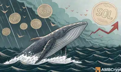 Are whales bleeding Solana dry? Another $13 mln SOL hits exchanges