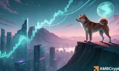 Le buzz du Dogecoin revient, le prix reste faible – Les traders, surveillez DE PRÈS ce niveau